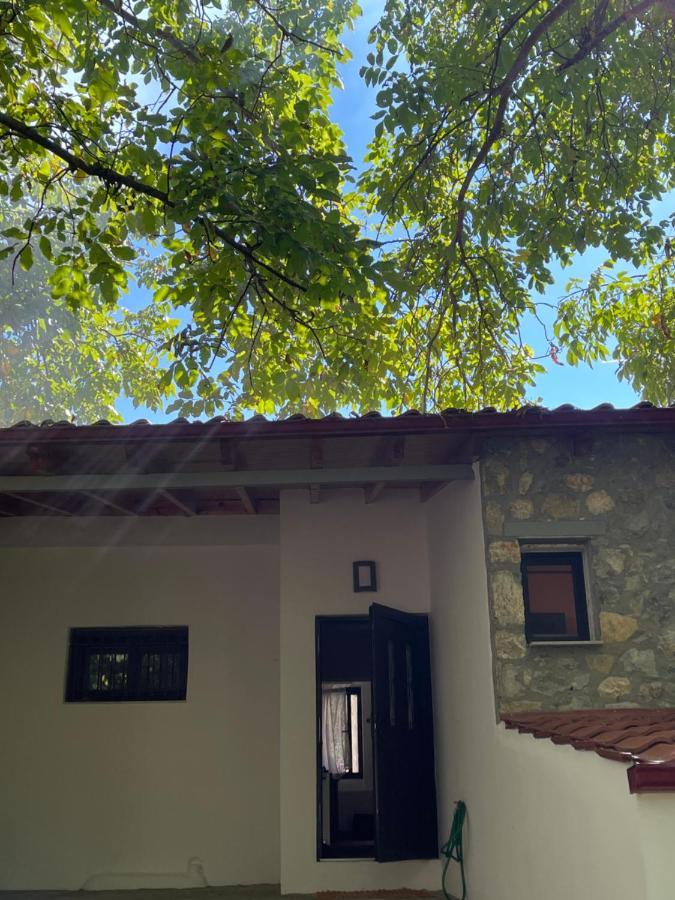 Stymfalia Cozy Village Guesthouse Karteri  外观 照片